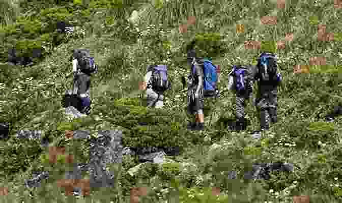 A Group Of Hikers Traversing A Scenic Mountain Trail, Showcasing The Importance Of Responsible Travel And Preserving The South's Natural Beauty. Southern Escapades: On The Roads Less Travelled