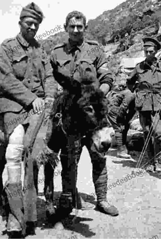 Murphy The Donkey Standing With Soldiers In A Trench Murphy The Donkey Who Helped The Soldiers (Tales Of Tails 3)