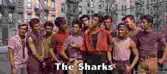 The Jets And The Sharks In West Side Story Our Story Jets Sharks Then And Now: Our Experiences And Memoirs