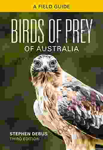 Birds Of Prey Of Australia: A Field Guide