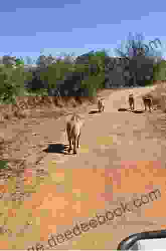 Sarwan Explores Pilanesberg Game Reserve