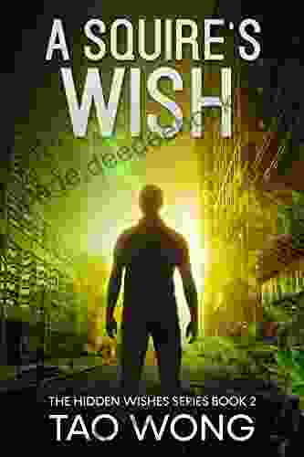 A Squire S Wish: A GameLit Novel (Hidden Wishes 2)